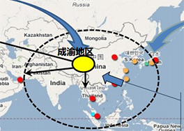 國際層面：中國中西部成為全球產(chǎn)業(yè)轉(zhuǎn)移新熱點